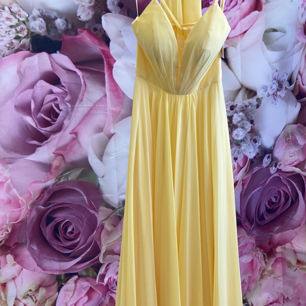 Lucci Lu prom dress